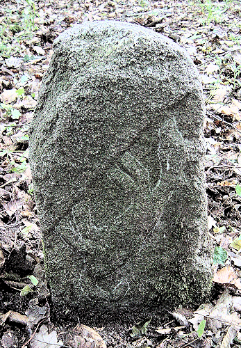 Wintzenheim