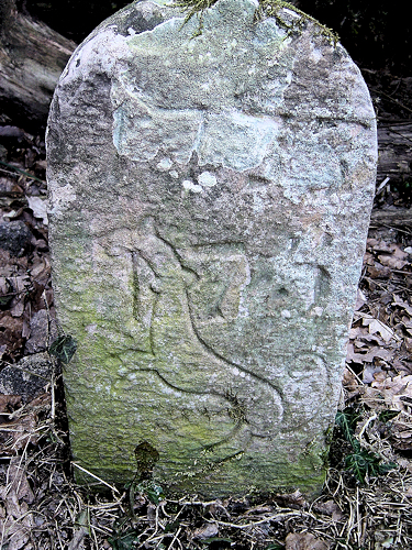 Wintzenheim