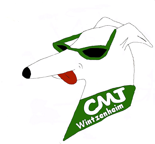 Wintzenheim