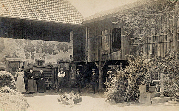 Wintzenheim