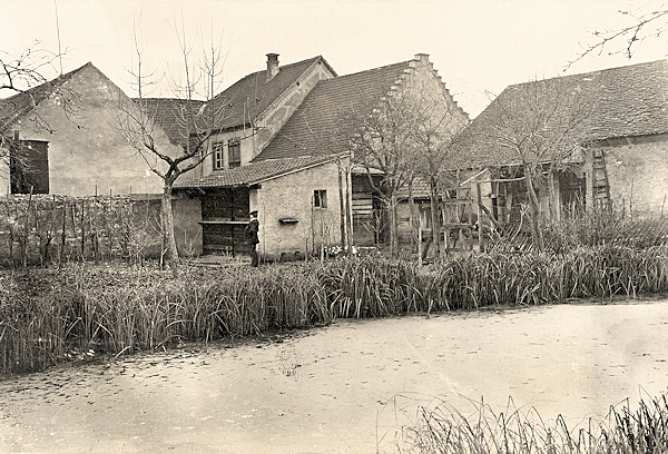 Wintzenheim