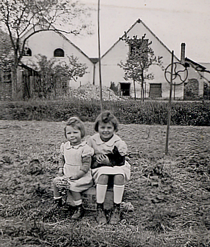 Wintzenheim